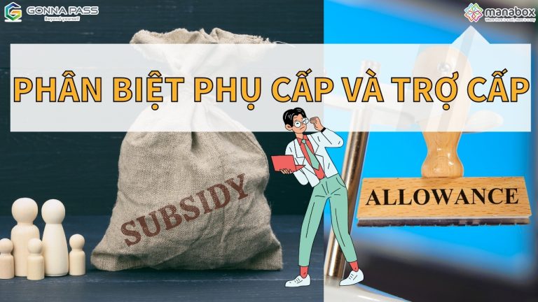 Phân biệt phụ cấp và trợ cấp